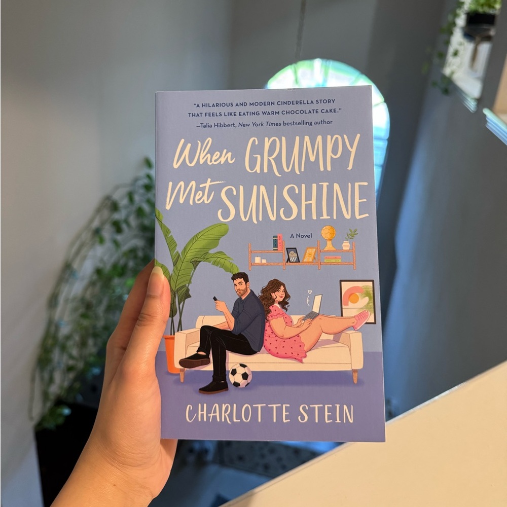 When Grumpy Met Sunshine Book